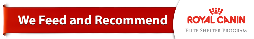 RC BANNER LOGO